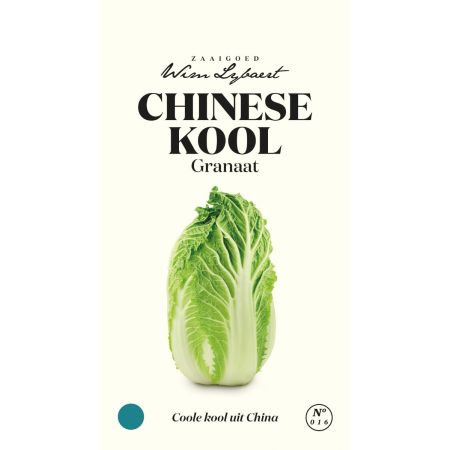Chinese Cabbage - Chinese Kool Granaat - Wim Lybaert Zaaigoed