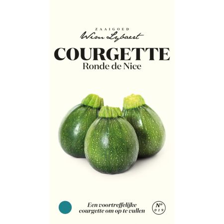 Round Courgette (Ronde De Nice) - Round Zucchini (Ronde De Nice) - Courgette Ronde De Nice - Wim Lybaert Zaaigoed