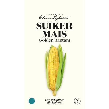 Golden Bantam Sweet Corn - Suikermais Golden Bantam - Wim Lybaert Zaaigoed