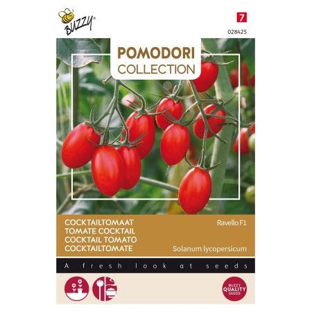 Tomato (Ravello F1) - Buzzy Pomodori, Tomaat Ravello F1