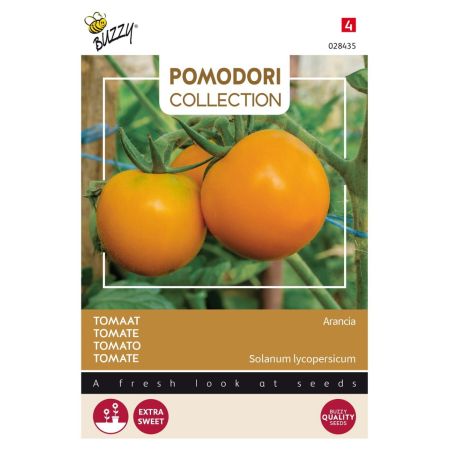 Orange Tomato (Tomato) - Buzzy Pomodori, Tomaat Arancia