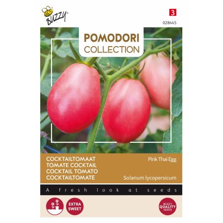 Pink Thai Egg Tomato - Buzzy Pomodori, Tomaat Pink Thai Egg