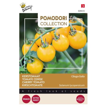 Yellow Cherry Tomato - Buzzy Pomodori, Kerstomaat Cereza Amarilla