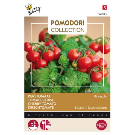 Tomato - Cherry Tomato - Buzzy Pomodori, Tomaat Minuscolo