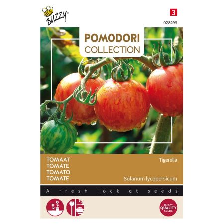 Tigerella (Tomato) - Buzzy Pomodori, Tomaat Tigerella