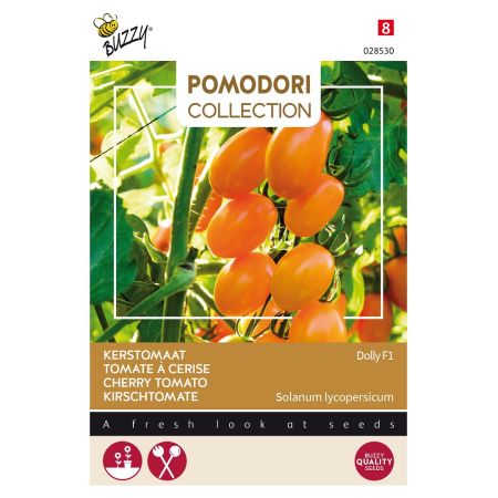 Dolly F1 Cherry Tomato (Tomato) - Buzzy Pomodori, Kerstomaat Dolly F1