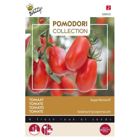 Roma Tomato (Plum Tomato) - Buzzy Pomodori, Tomaat Super Roma VF