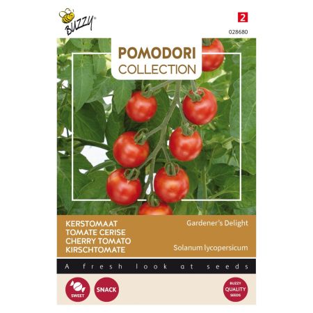Gardeners' Delight (Cherry Tomato) - Buzzy Pomodori, Kerstomaat Gardeners Delight (Cherry)