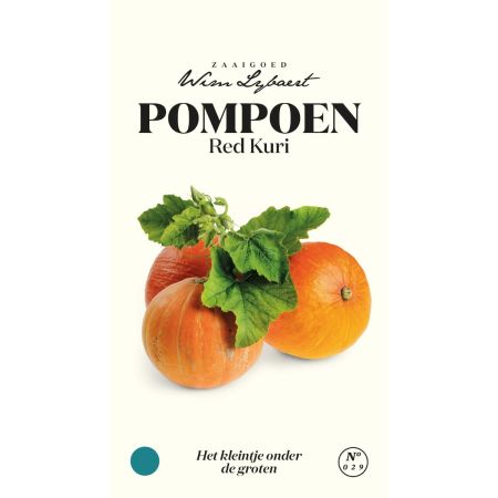 Red Kuri Squash (Uchiki Kuri / Hokkaido Squash) - Pompoen Red Kuri - Wim Lybaert Zaaigoed