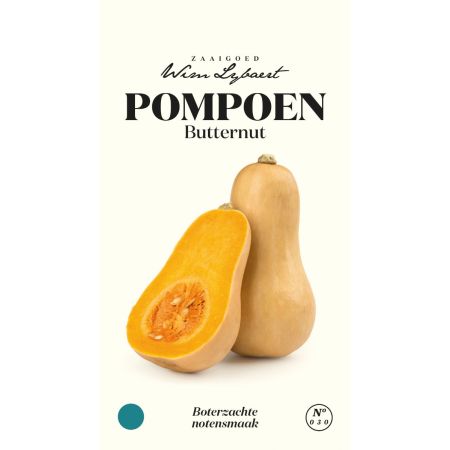 Butternut Squash - Pompoen Butternut - Wim Lybaert Zaaigoed