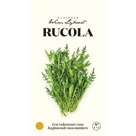 Arugula (Rocket) - Rucola - Wim Lybaert Zaaigoed