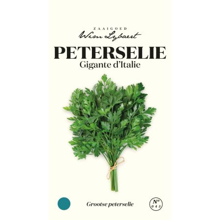 Italian Parsley (Giant Of Italy) - Peterselie Gigante D'Italie - Wim Lybaert Zaaigoed