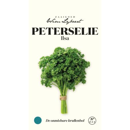 Parsley (Cultivar 'Ilsa') - Peterselie Ilsa - Wim Lybaert Zaaigoed