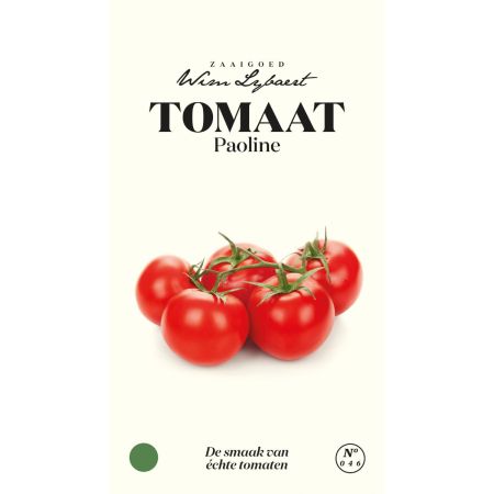 Paoline Tomato - Tomaat Paoline - Wim Lybaert Zaaigoed