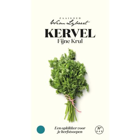 Chervil (French Chervil) - Kervel Fijne Krul - Wim Lybaert Zaaigoed