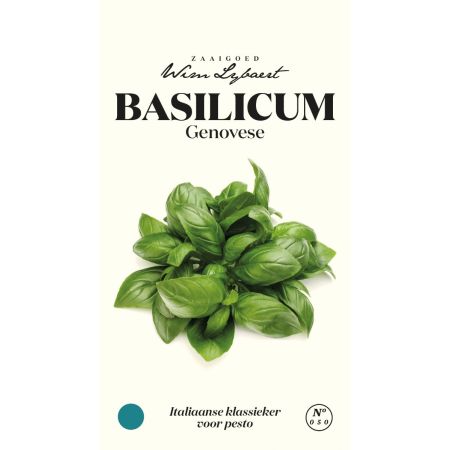 Genovese Basil - Basilicum Genovese - Wim Lybaert Zaaigoed