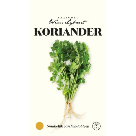 Coriander (Cilantro) - Koriander - Wim Lybaert Zaaigoed