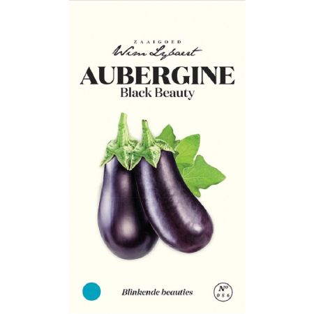 Black Beauty Eggplant (Eggplant) - Aubergine Black Beauty - Wim Lybaert Zaaigoed