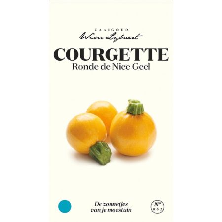 Yellow Round (Ronde) De Nice Zucchini (Yellow) - Courgette Rond De Nice Geel - Wim Lybaert Zaaigoed