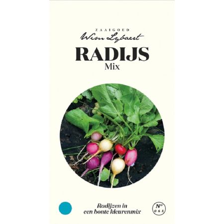 Radish (Mix) - Radijs Mix - Wim Lybaert Zaaigoed