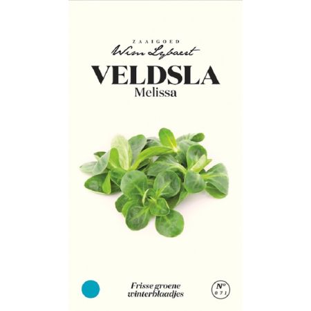 Lamb'S Lettuce - Veldsla Melissa - Wim Lybaert Zaaigoed