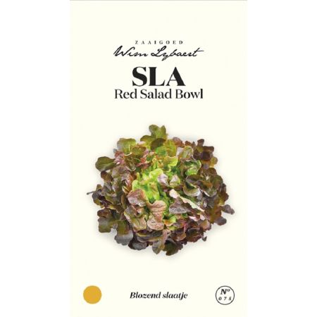 Red Salad Bowl Lettuce - Sla Red Salad Bowl - Wim Lybaert Zaaigoed