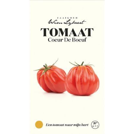 Oxheart Tomato - Tomaat Coeur De Boeuf - Wim Lybaert Zaaigoed