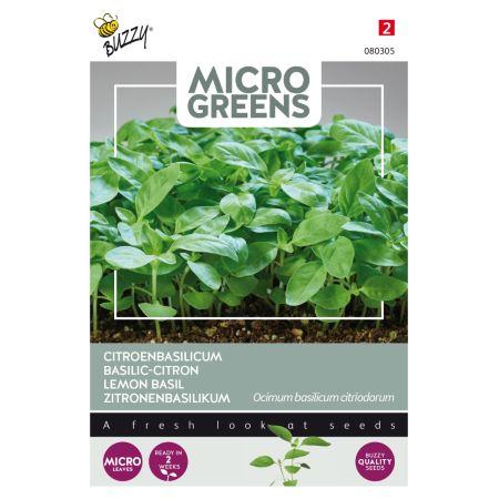 Lemon Basil - Buzzy Microgreens, Citroenbasilicum