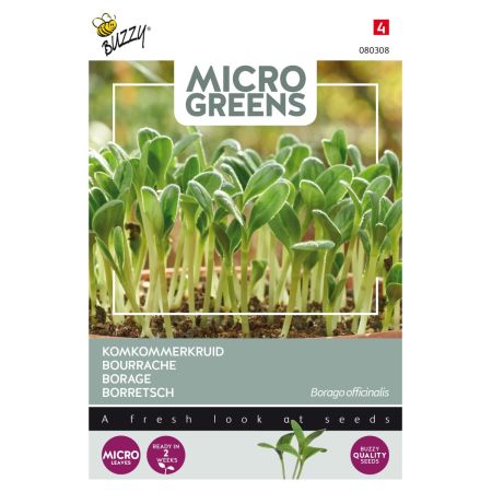 Borage (Cucumber Herb) - Buzzy Microgreens, Borage (komkommerkruid)