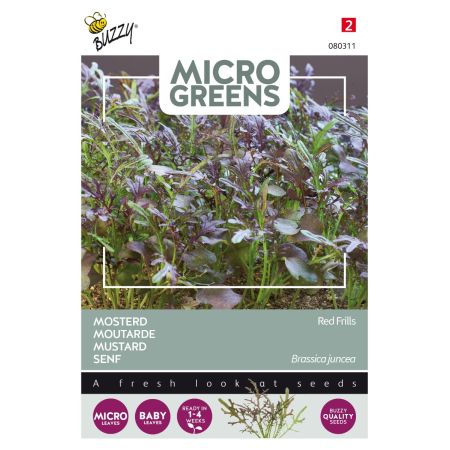 Red Frills Mustard - Buzzy Microgreens, Mosterd Red Frills