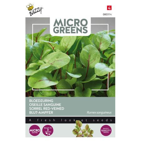 Red‑Veined Sorrel (Blood Sorrel) - Buzzy Microgreens, Bloedzuring