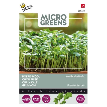 Kale - Buzzy Microgreens, Boerenkool Westlandse Herfst
