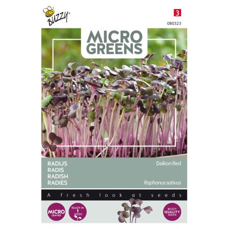 Red Daikon Radish (Red Daikon) - Buzzy Microgreens, Radijs Rode Daikon