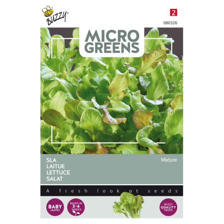 Mixed Lettuce (Microgreens) - Buzzy Microgreens, Sla gemengd