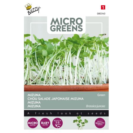 Mizuna - Japanese Mustard Greens - Buzzy Microgreens, Mizuna Green