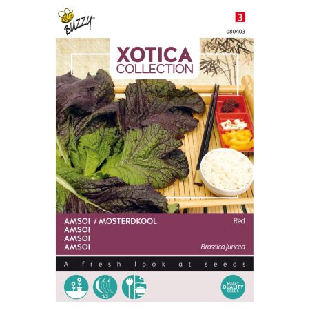 Red Mustard (Red Mustard Greens) - Buzzy Xotica Rode Amsoi of Mosterdkool