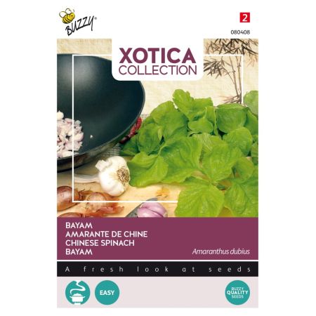 Leaf Amaranth (Amaranth) - Commonly Called Chinese Spinach / Red Amaranth. - Buzzy Xotica Bayam Klaroen