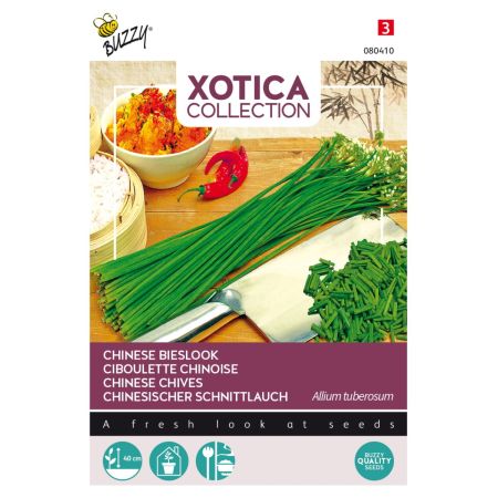 Garlic Chives (Chinese Chives) - Buzzy Xotica Chinese Bieslook