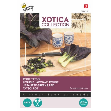 Red Tatsoi (Tatsoi) - Buzzy Xotica Rode Tatsoi