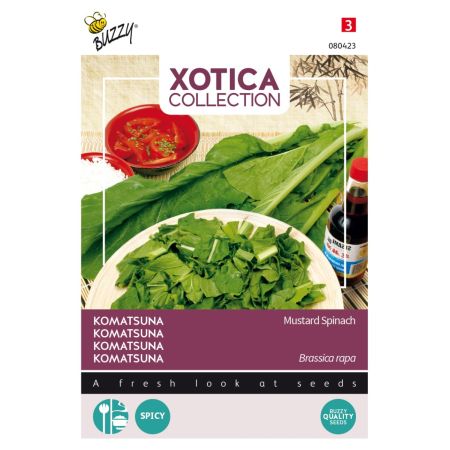 Komatsuna - Japanese Mustard Spinach (Also Called Mustard Spinach) - Buzzy Xotica Komatsuna, Mustard Spinach
