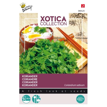Coriander (Cilantro) - Buzzy Xotica Koriander