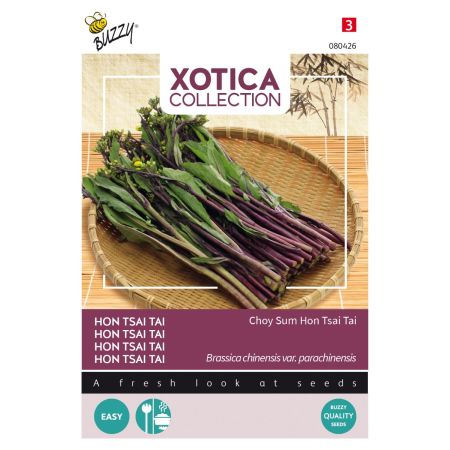 Choy Sum (Chinese Flowering Cabbage) - Buzzy Xotica Purple Choy Sum Hon Tsai Tai