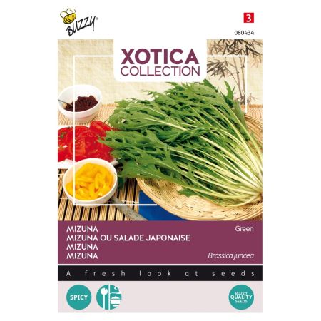 Mizuna - Japanese Mustard Greens - Buzzy Xotica Mizuna, Japanse salade