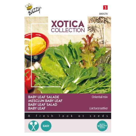 Oriental Baby Leaf Mix (Mixed Oriental Greens) - Buzzy Xotica Oriental mix, Baby Leaf mix