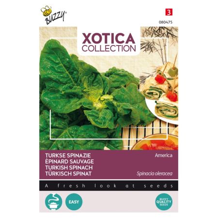 Turkish Spinach - Buzzy Xotica Turkse Spinazie (wilde)
