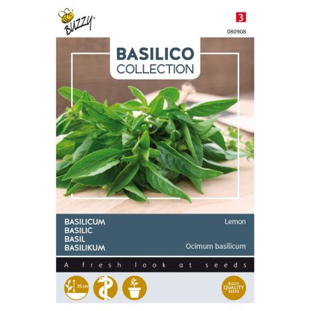 Lemon Basil - Buzzy Basilicum Lemon