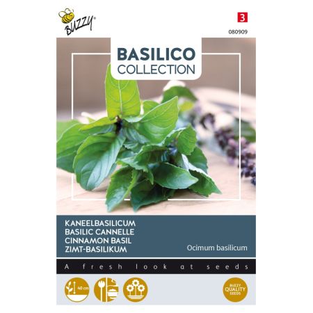 Cinnamon Basil - Buzzy Kaneelbasilicum