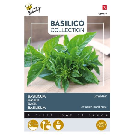 Small-Leaf Basil - Buzzy Basilicum Small-leaf