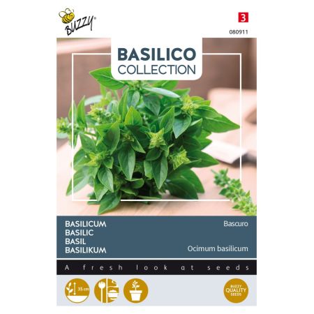 Sweet Basil (Basil) - Buzzy Basilicum Bascuro