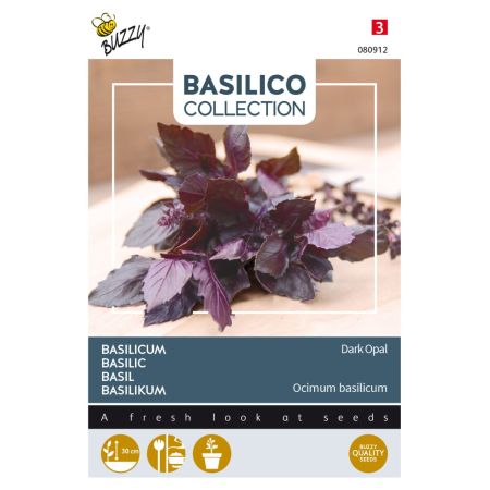 Dark Opal Basil - Buzzy Basilicum Dark Opal
